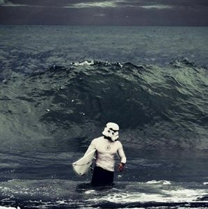 Meet your Posher, Todd