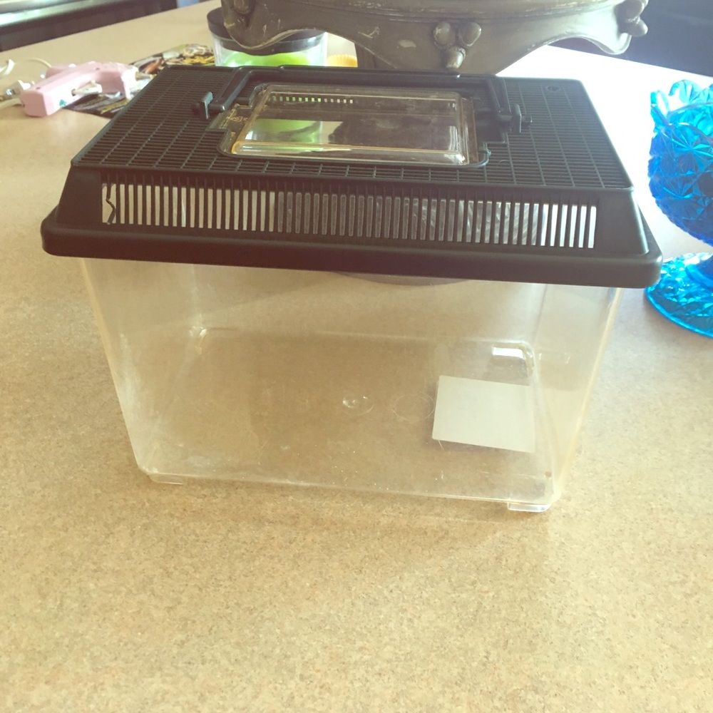 Plastic terrarium for reptiles