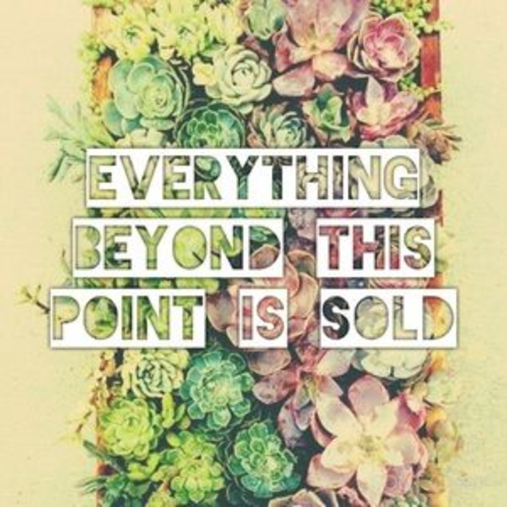 Thank you for shopping!