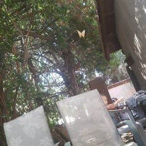 Meet your Posher, Kateeana