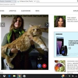 Meet your Posher, Lisa