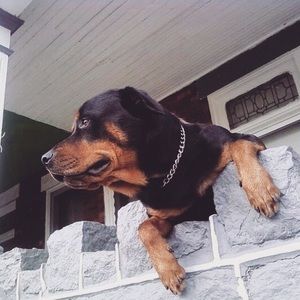 Meet your Posher, Yolanda