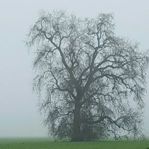 Meet your Posher, Eva