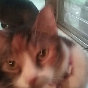 Meet your Posher, Terri