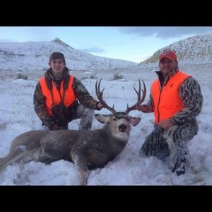 Meet your Posher, Bailey