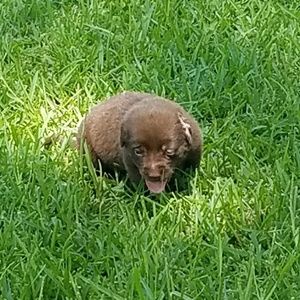 Meet your Posher, Valerie