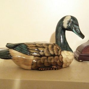 Decor duck