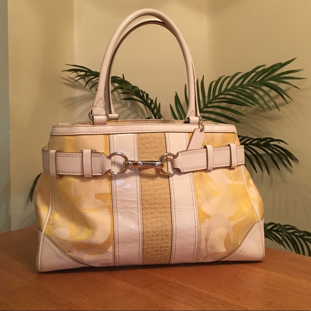 Coach Hampton Optic Signature Carry All Handbag