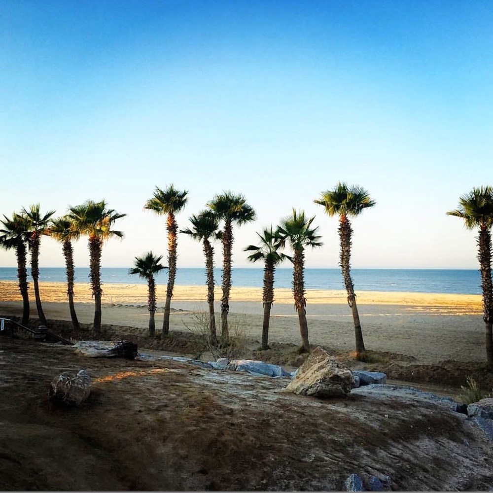 Meet your Posher, Paula