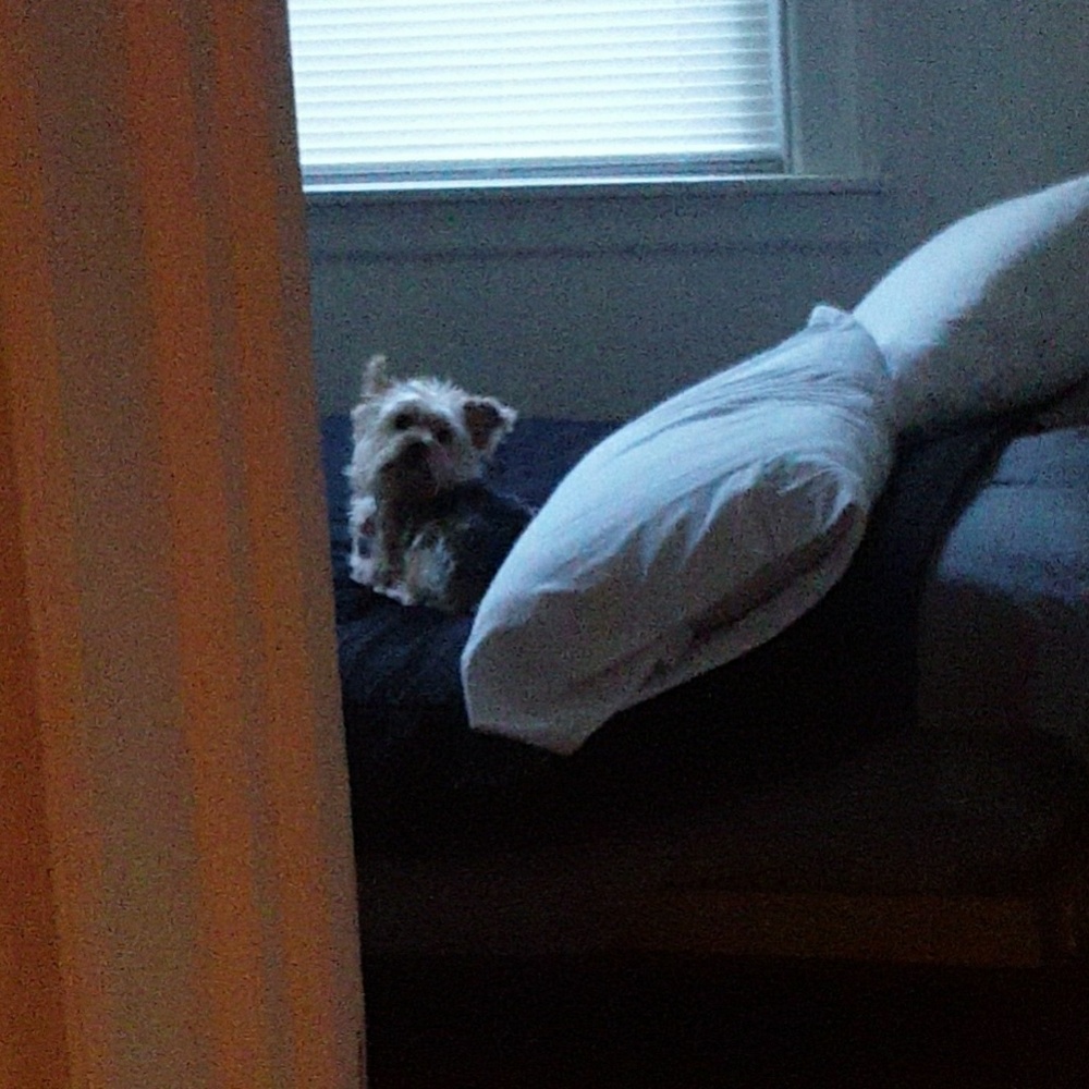 Meet your Posher, Tori