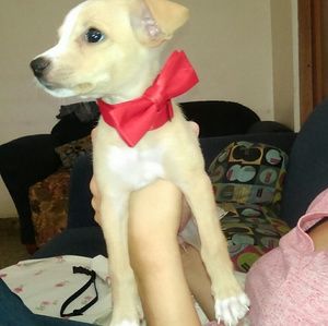 Meet your Posher, Laura