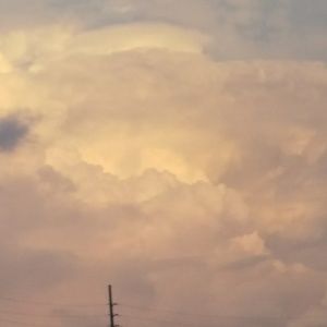 Meet your Posher, Piper