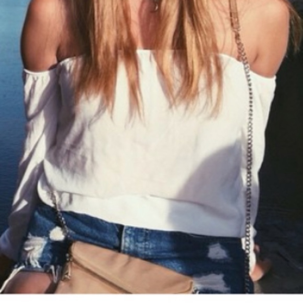Brandy Melville Off Shoulder Long Sleeve Top