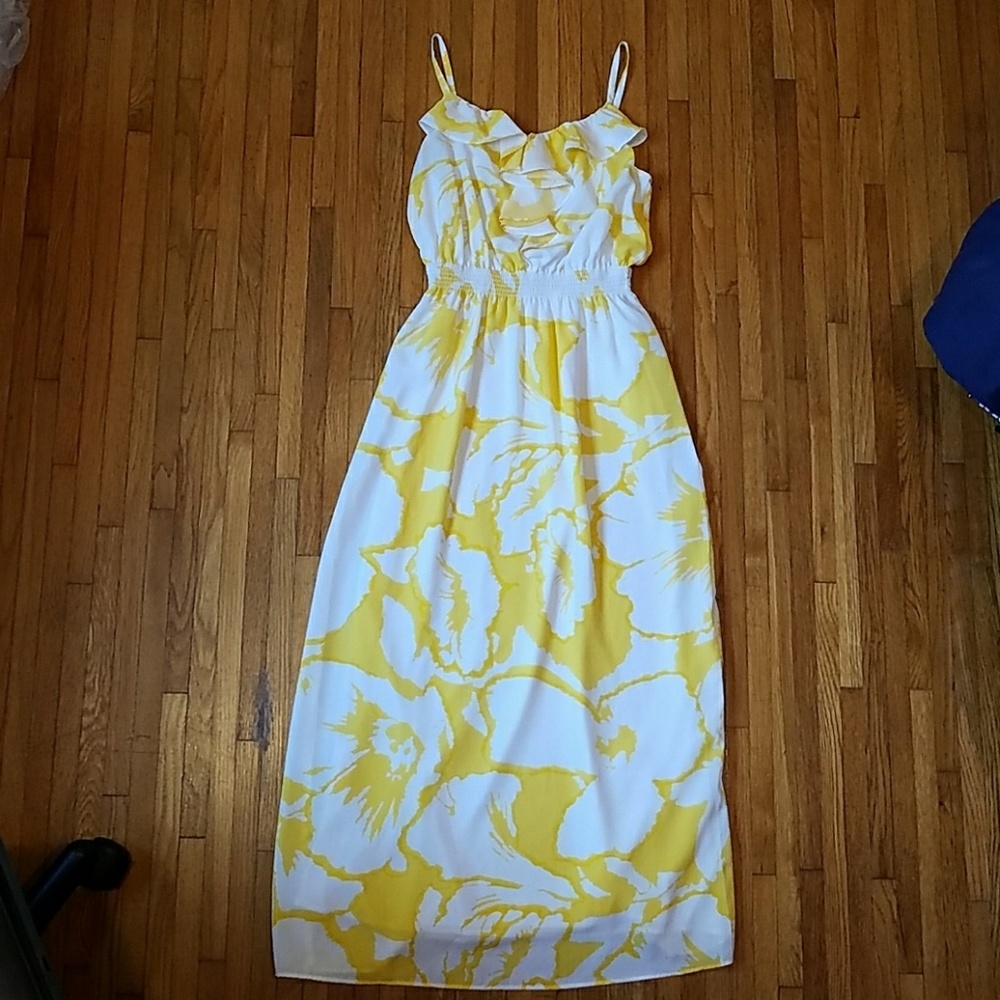 Ann Taylor Loft dress