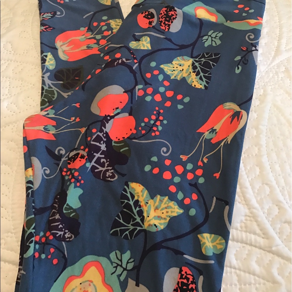 Whimsical ... Take me Away Alice...