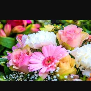 Meet your Posher, Ariana