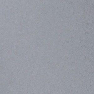 Meet your Posher, Lily