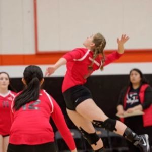 Meet your Posher, Gracey