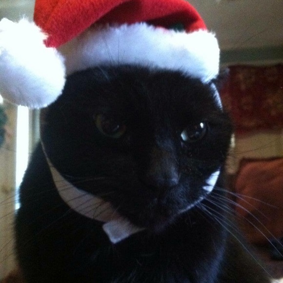 Meet your Posher, Erica🌸👩🏼⚕️ - Picture 4 of 8