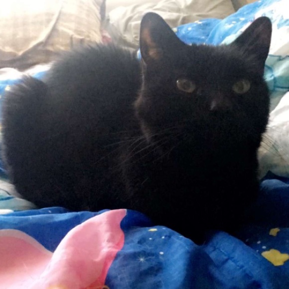 Meet your Posher, Erica🌸👩🏼⚕️ - Picture 5 of 8