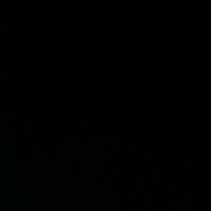 Meet your Posher, Kyleigh