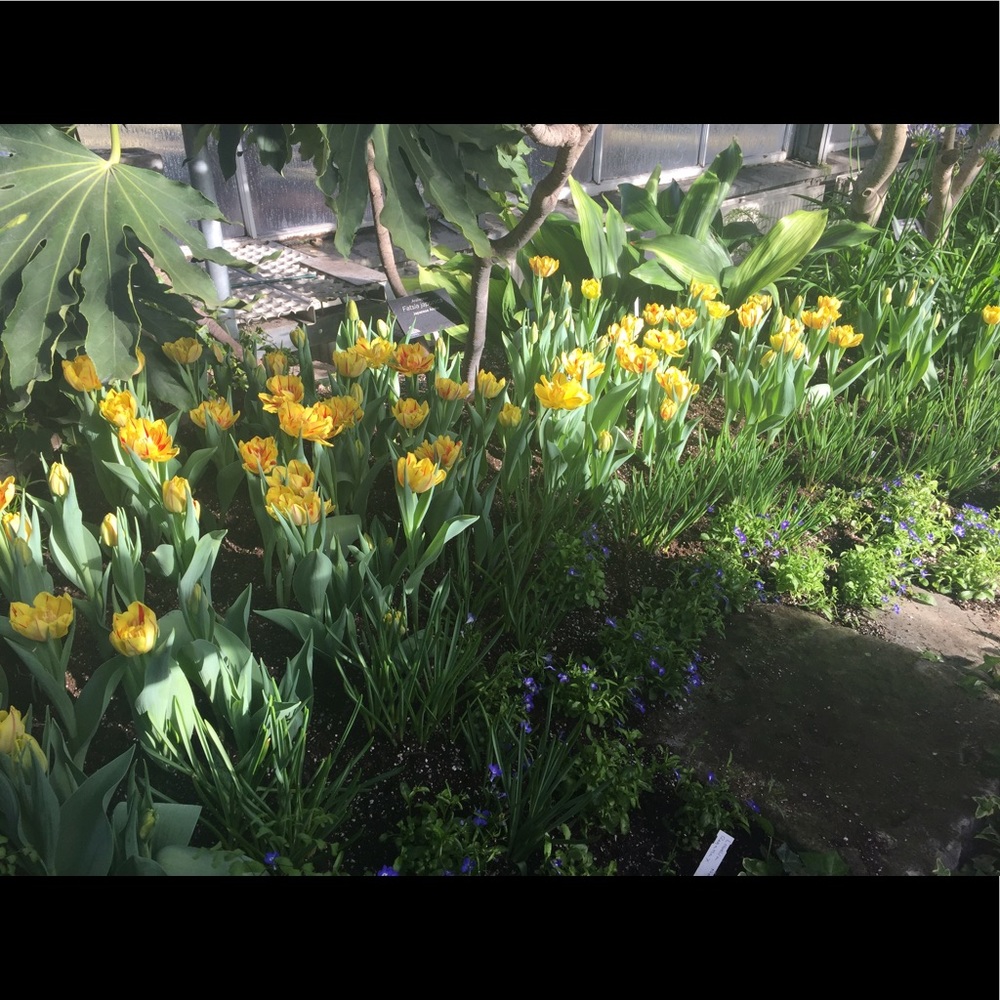 Meet your Posher, Shobita