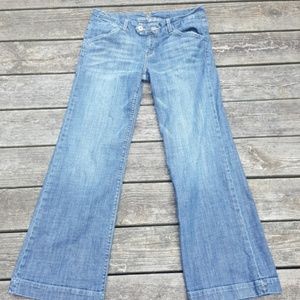 American Eagle 12 regular jean