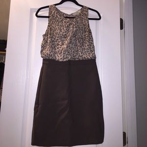 Ann Taylor Loft petite dress
