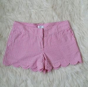 Petite size seersucker shorts