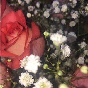 Meet your Posher, Mckenzie