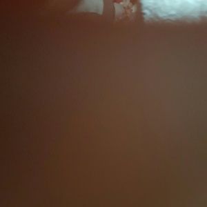 Meet your Posher, Miranda