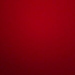 Meet your Posher, Anne