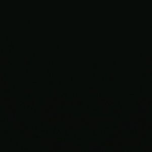 Meet your Posher, Tyanna