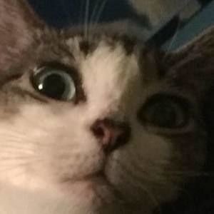 Meet your Posher, Brooklyn