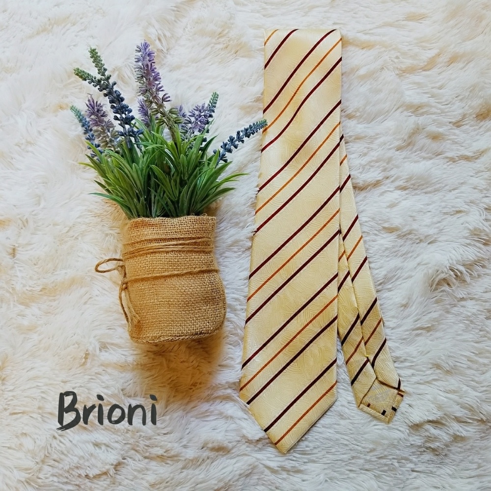 New Brioni Silk Striped Paisley Men Tie