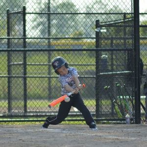 Meet your Posher, Donald