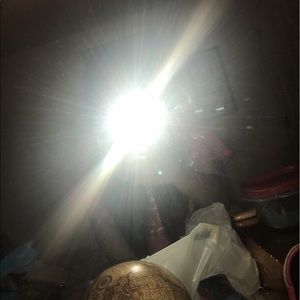 Meet your Posher, Sylvia