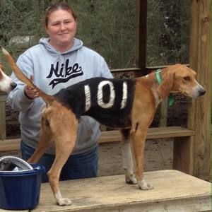 Meet your Posher, Monica