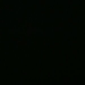 Meet your Posher, Trey