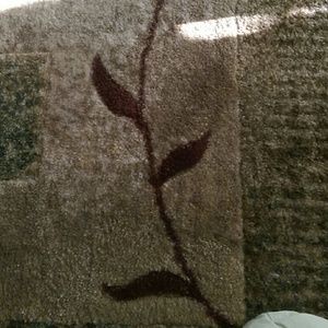 Meet your Posher, Ginger