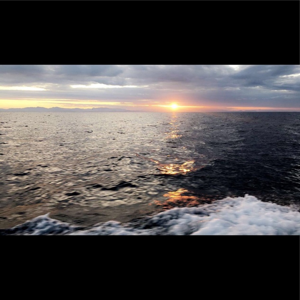 Meet your Posher, Gaby