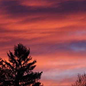 Meet your Posher, Jocelyn