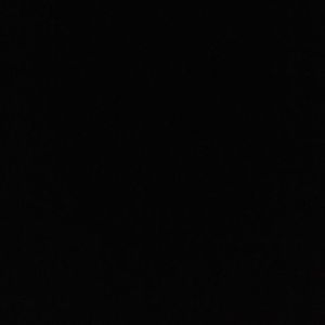 Meet your Posher, Larry