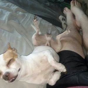 Meet your Posher, Brendan