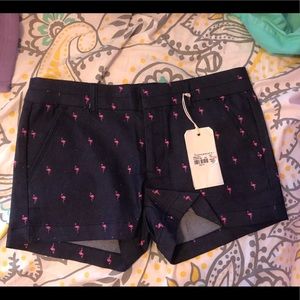 Francesca's Flamingo shorts