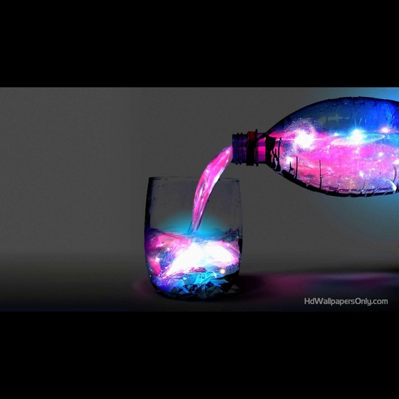 Meet your Posher, Coco - Picture 1 of 1