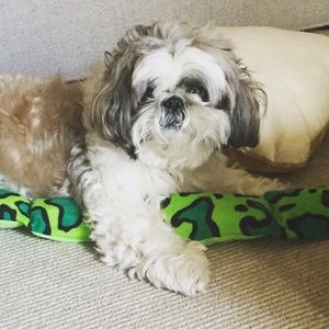 Meet your Posher, Maria