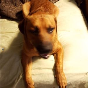 Meet your Posher, Chloe