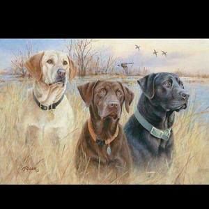 Meet your Posher, Randall