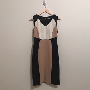 Fitted Antonio Melani Dress